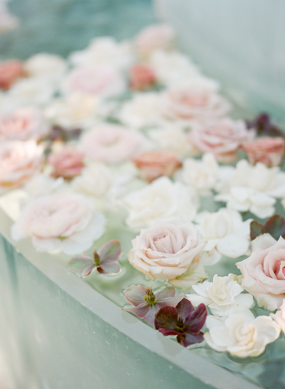 Brook-Harisson-Wedding-0227