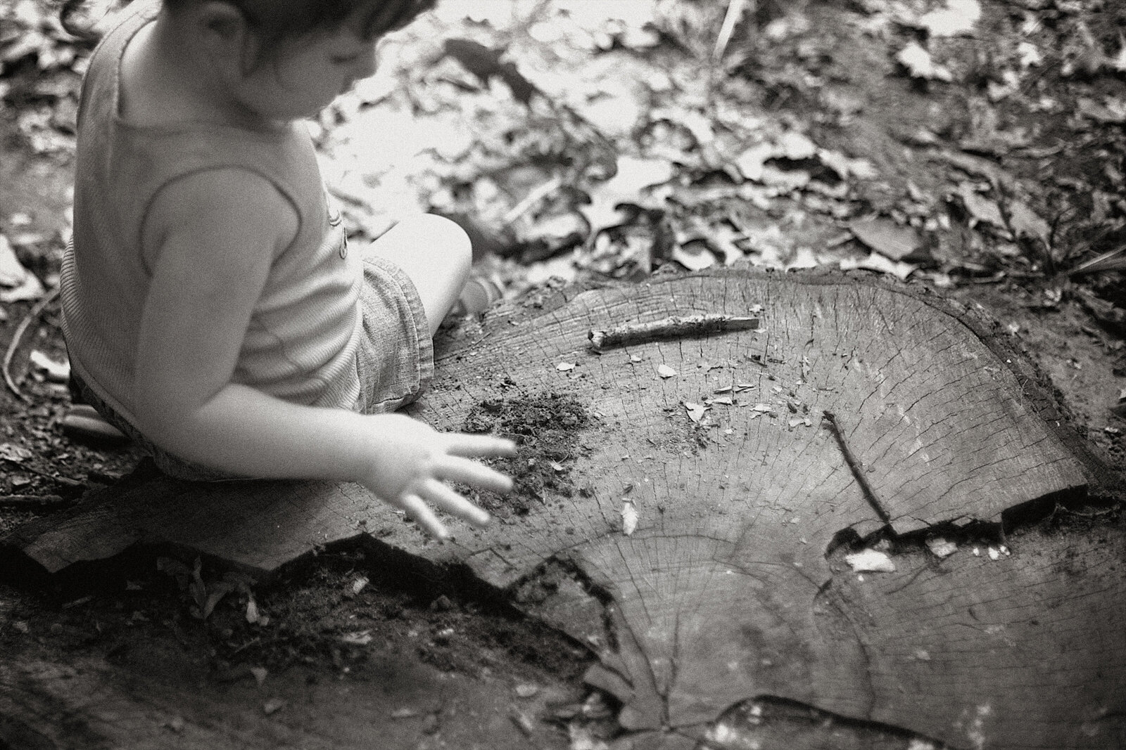 boyscoutbadgeday56bw