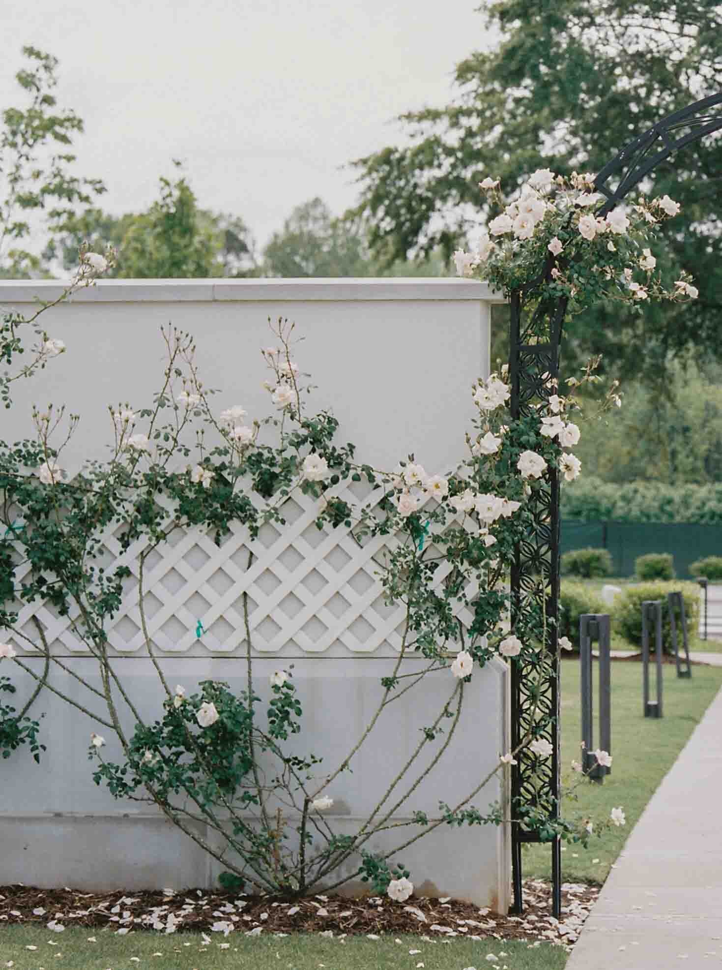 Hadley Wedding Favorites-162