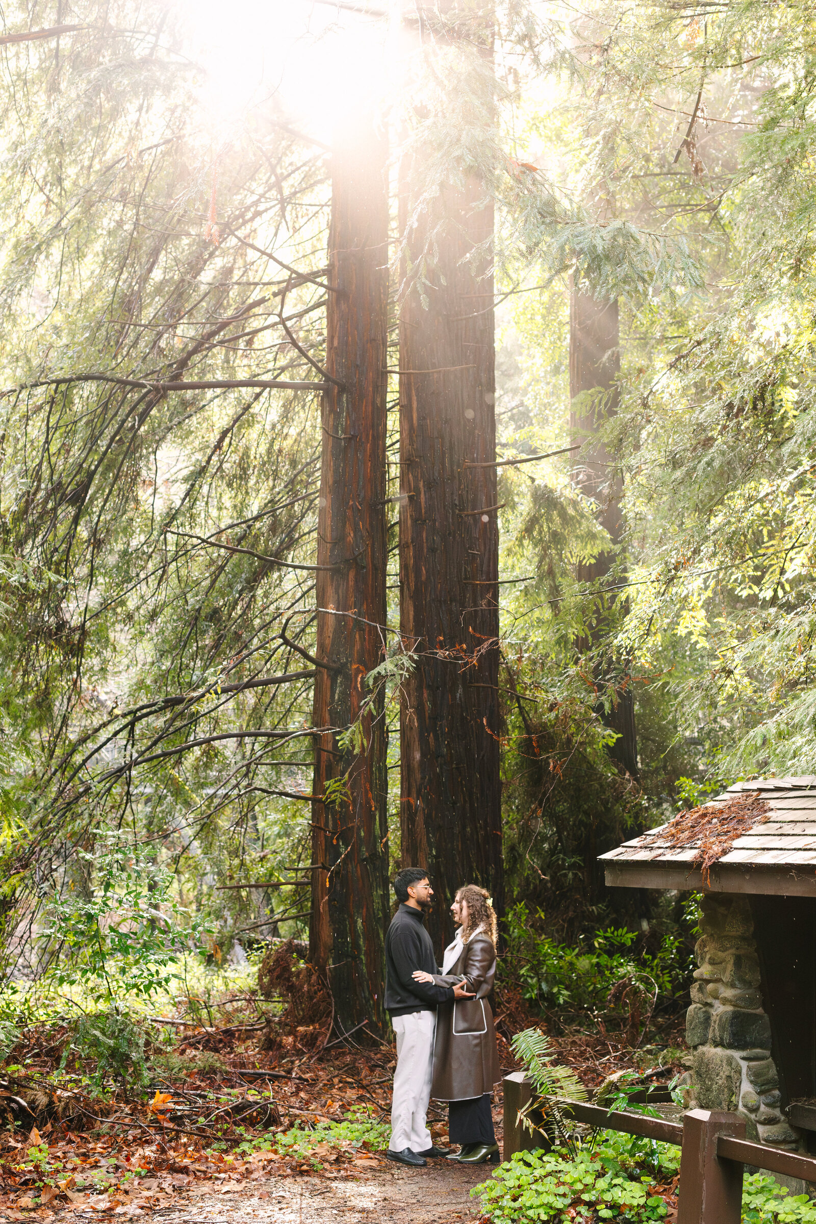 Big Sur Proposal Manjanatha-47