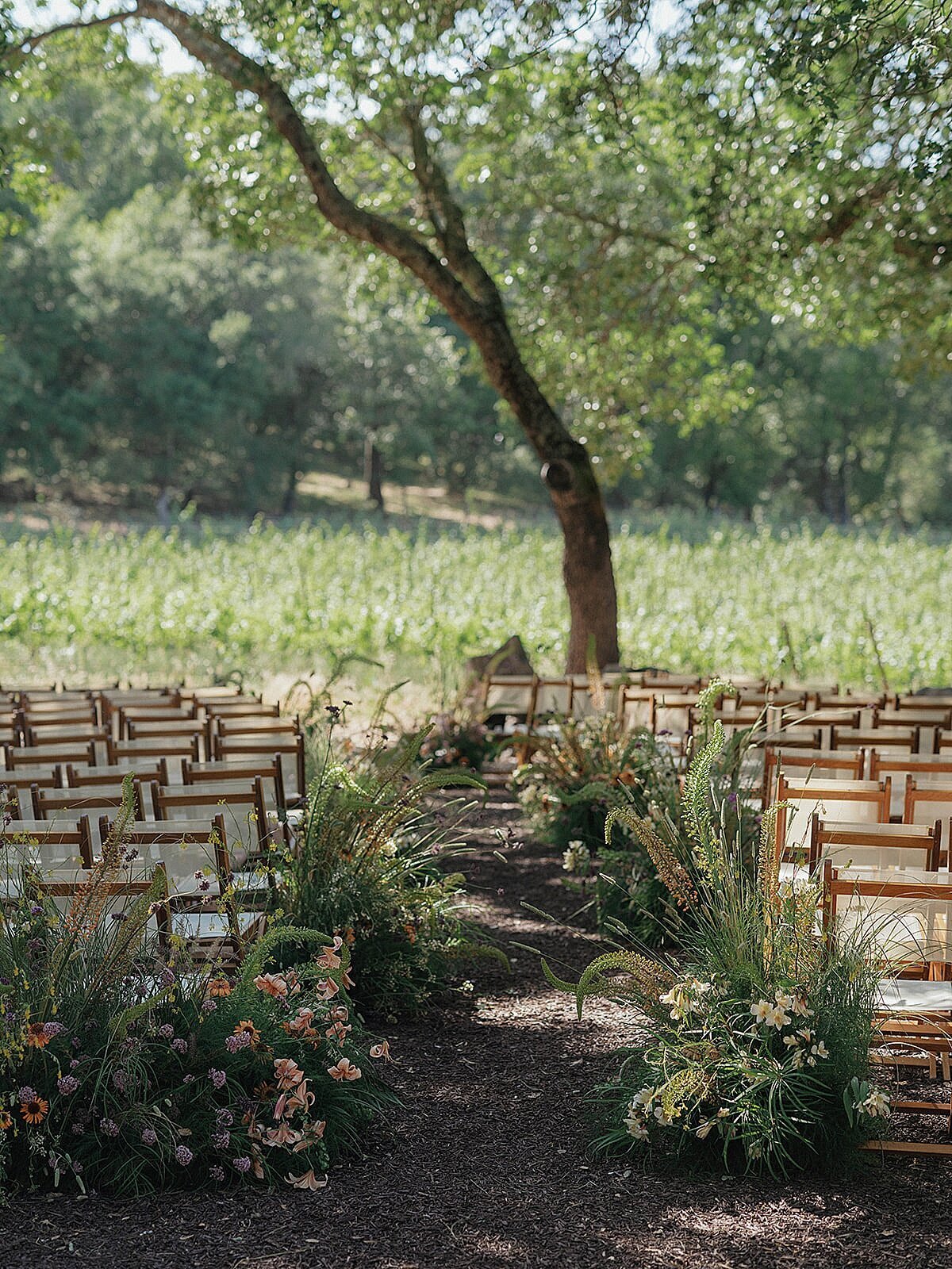sonoma-vineyard-estate-wedding-0116