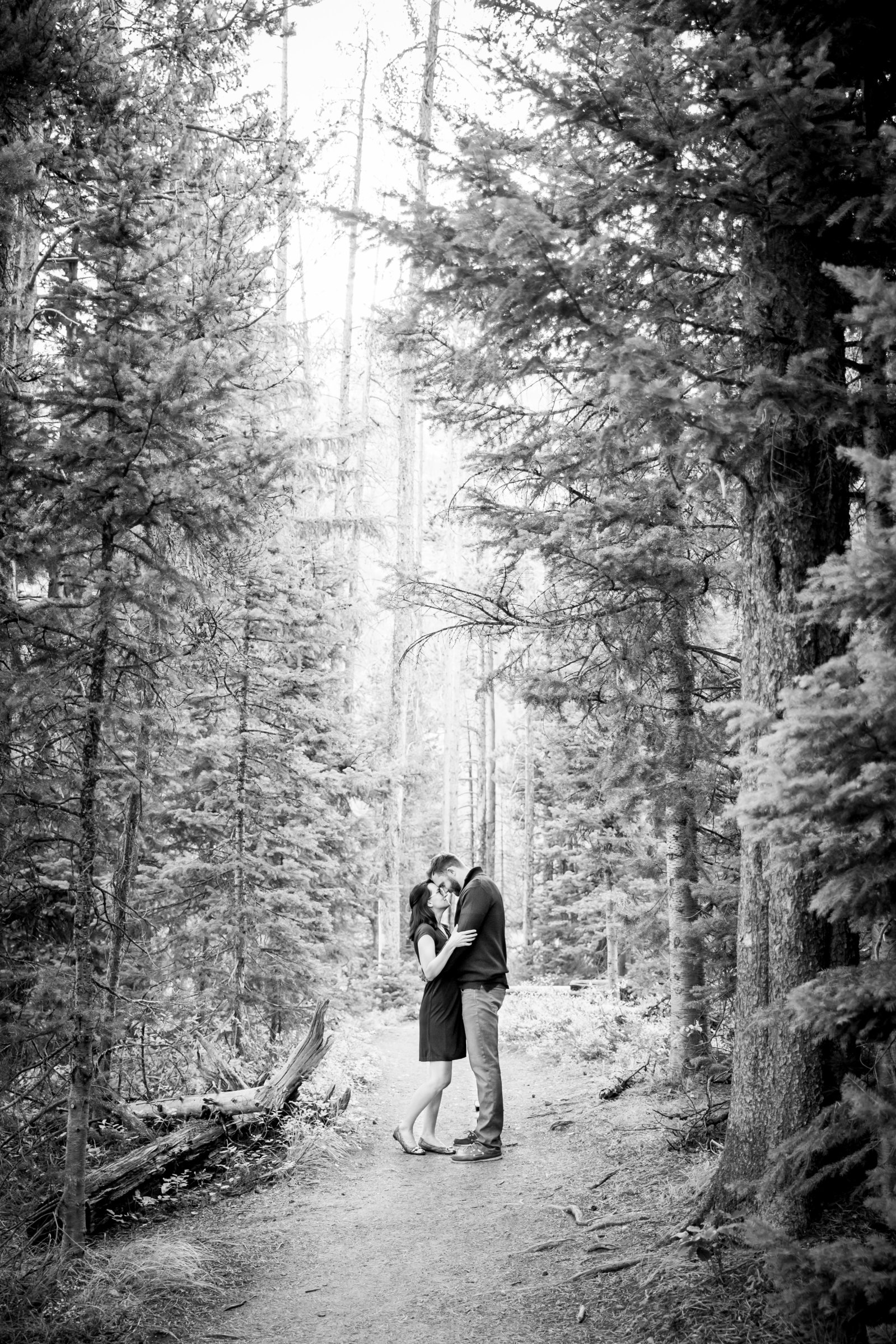 Engagement session in the trees Jackson Hole WY