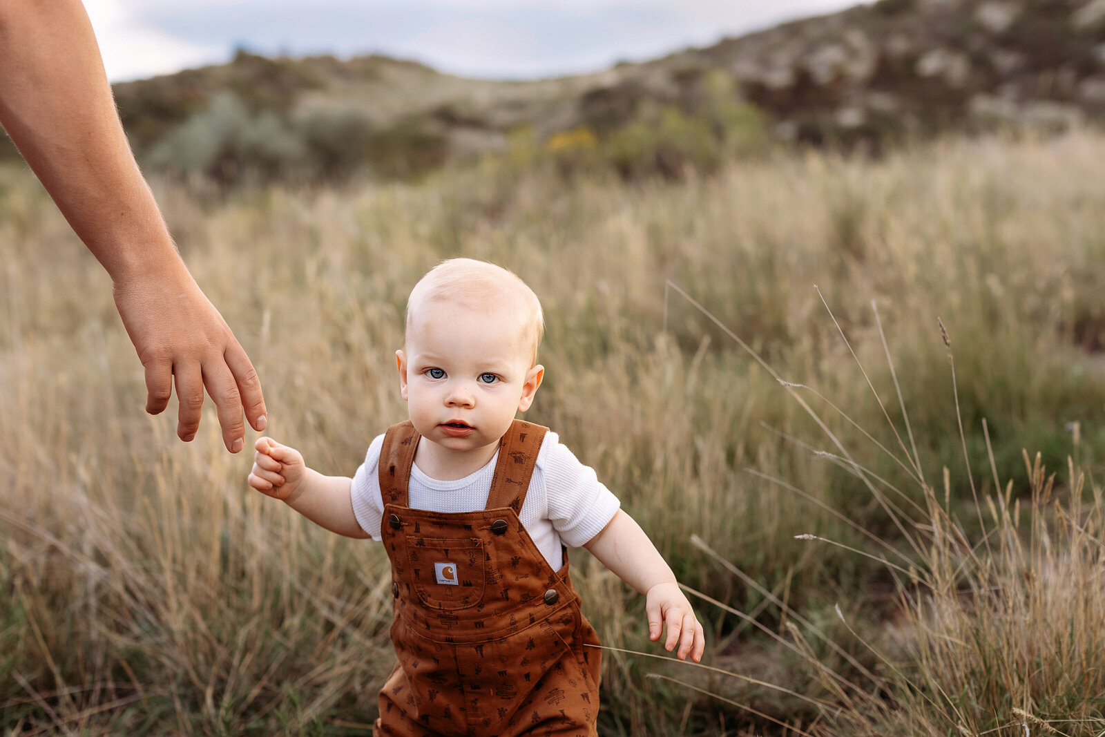 baby reaching for dads hands during their sunset photos in denver, co.