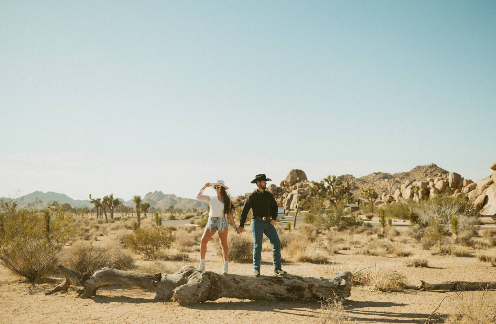 western-joshua-tree-engagements-134