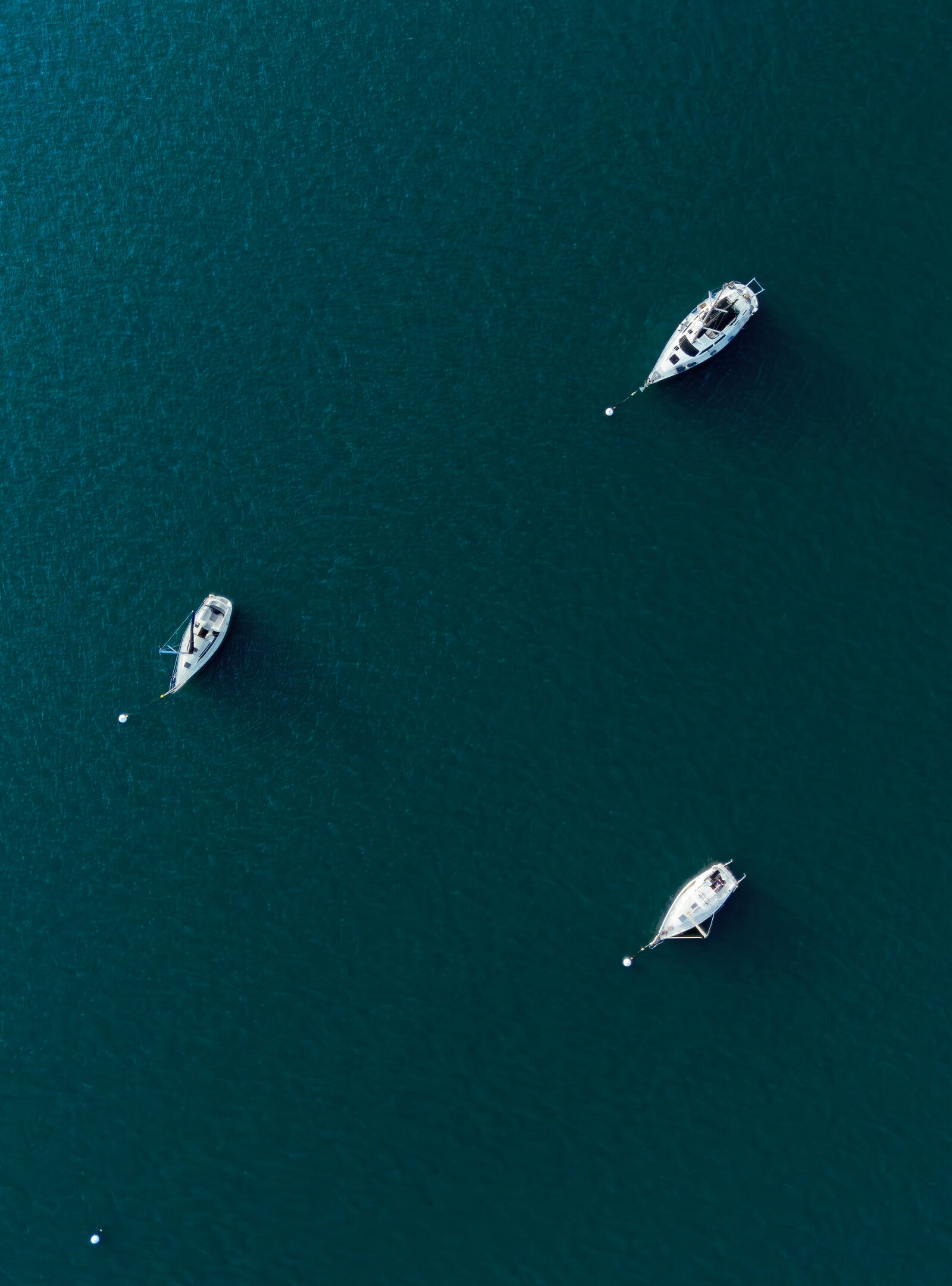 DJI_20250605194413_0936_D-Enhanced-NR