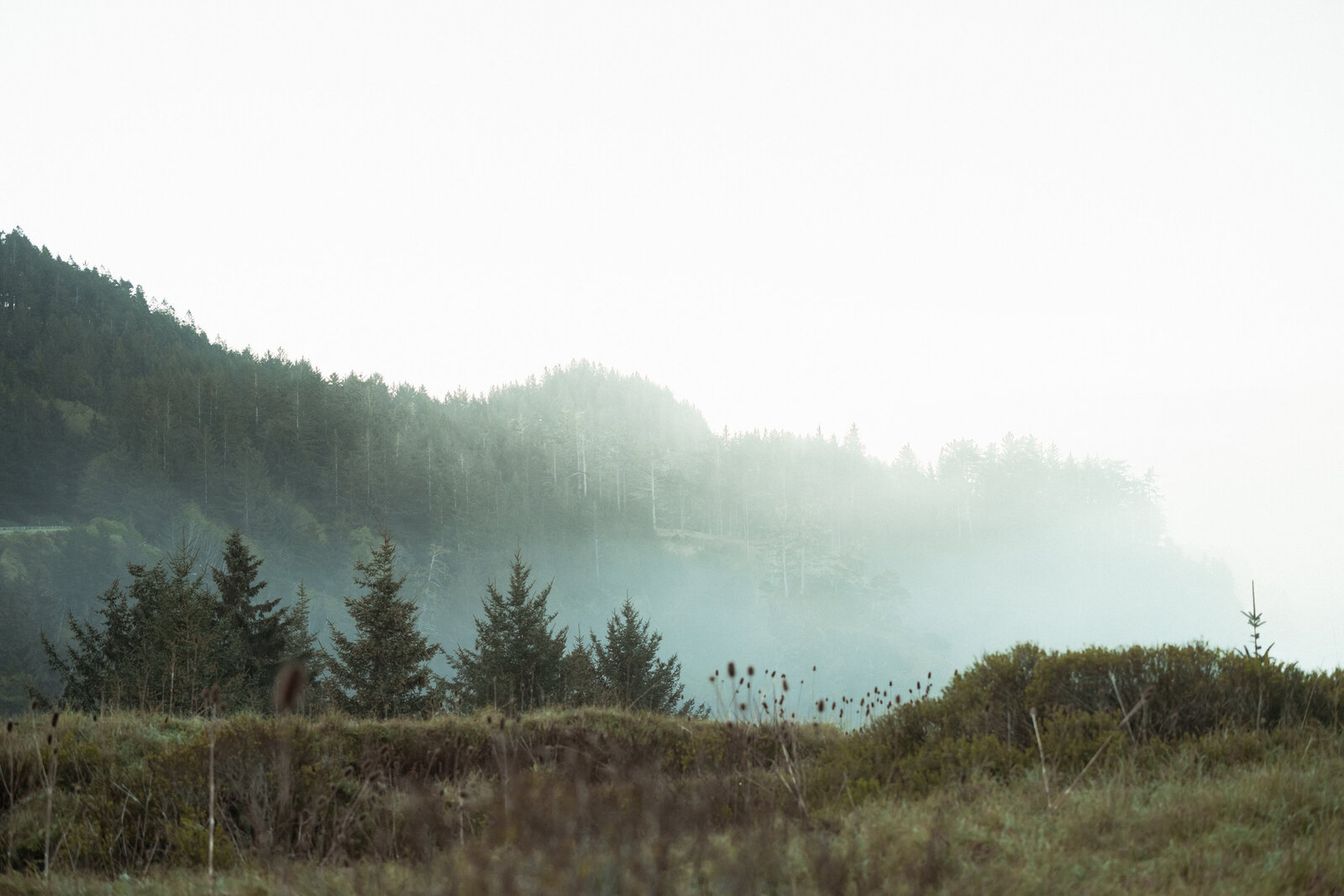 Oregon Coast Elopement Photography by Kollar – Arizona’s Premier Elopement Photographer