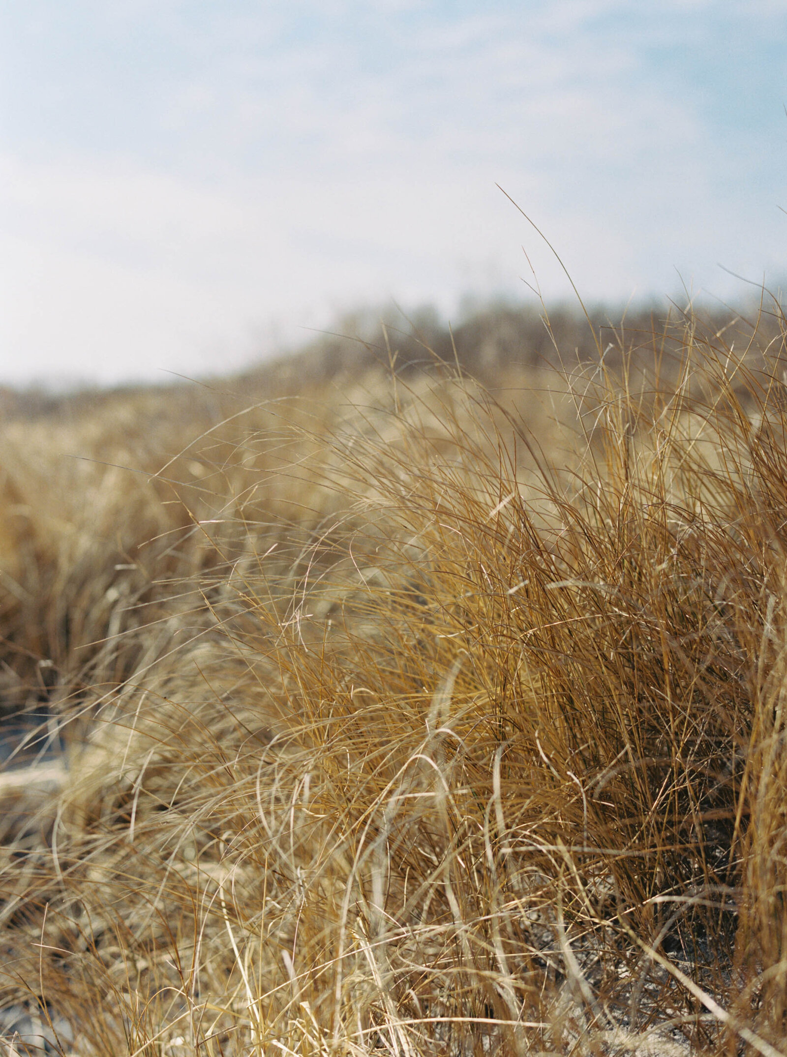K+F New England Wedding- Alex Krall Photography-30 (1)