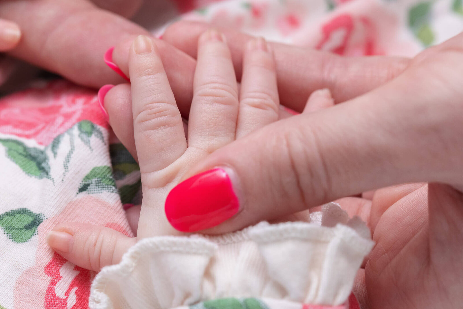 A close-up of a newborn's hand being held by mom's hand.