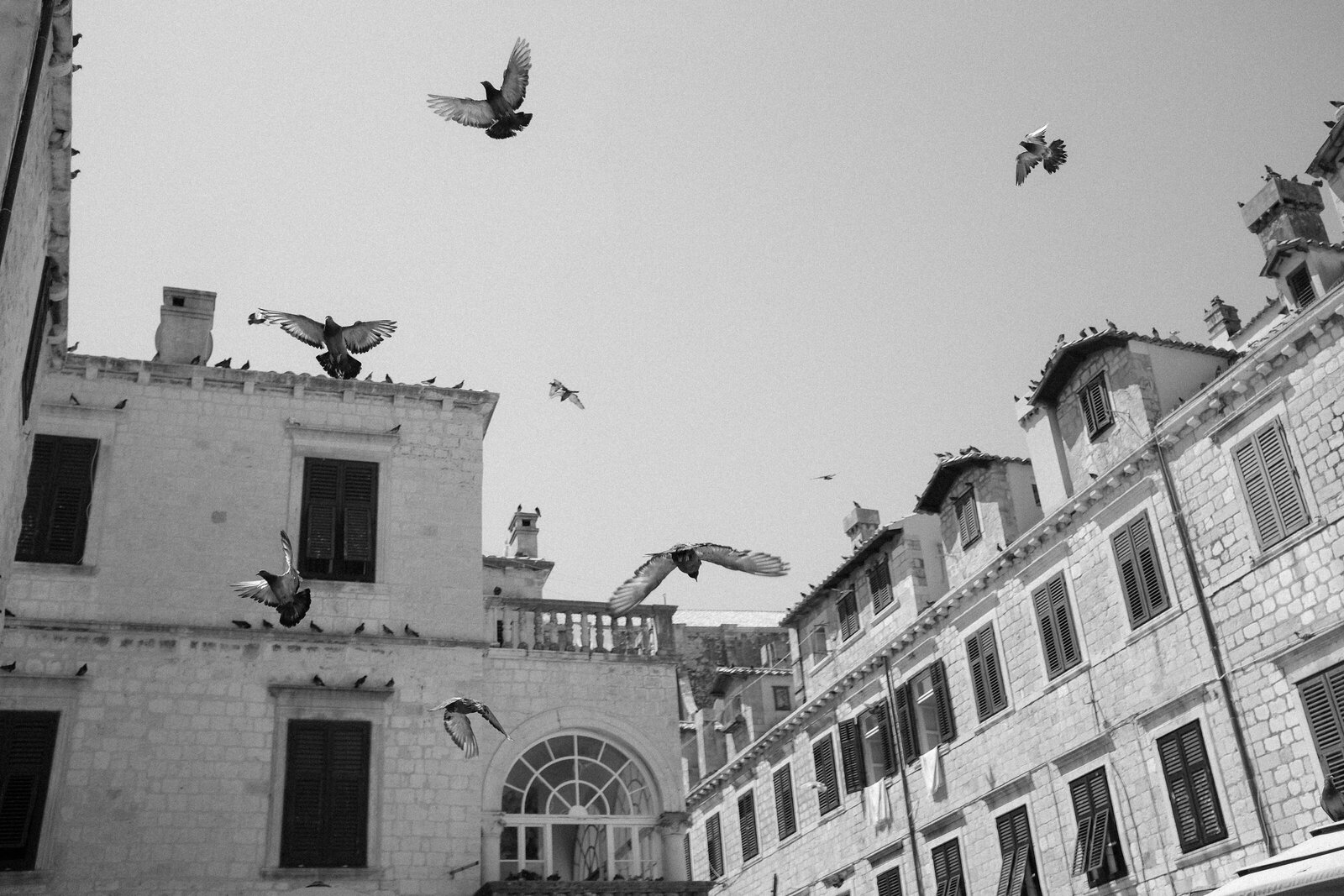 DSCF1019-Edit