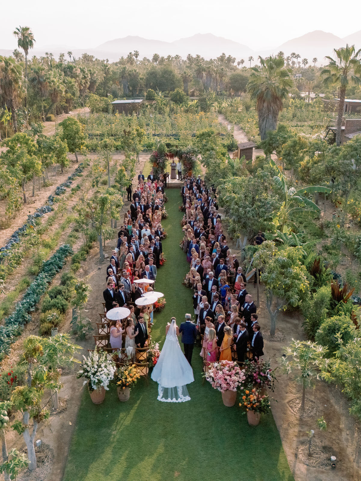 Dylan & Maddie - Wedding - 0457