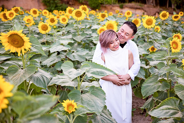 East Brunswick NJ Family Photographer Happy Day Farm Sunflowers Couple
