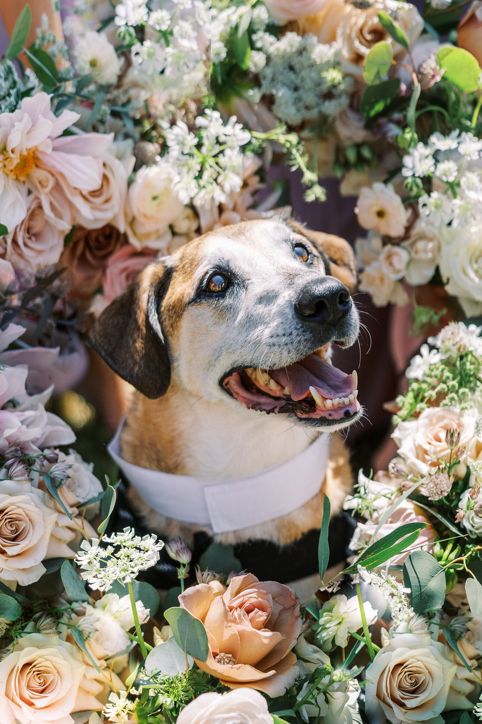 LR_Stonehouse_Villa_Wedding-192