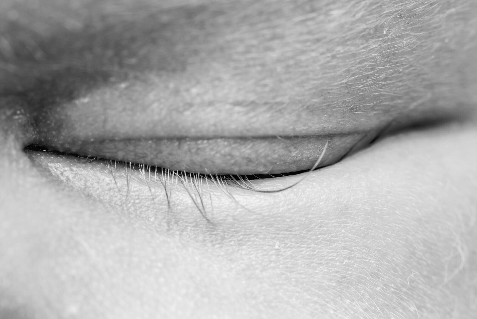 macro photograph of newborn long lashes