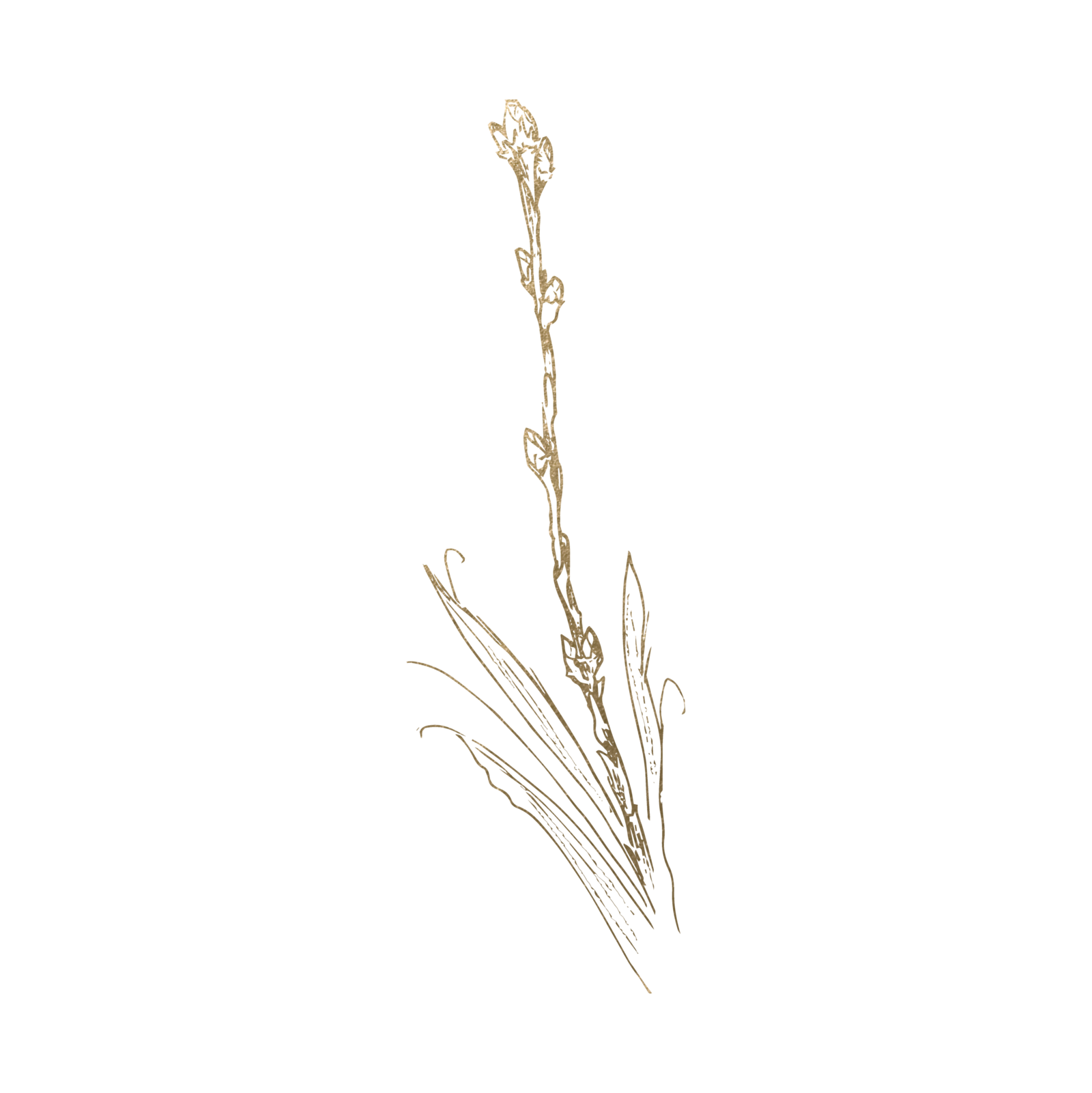 Gold Branch Detail