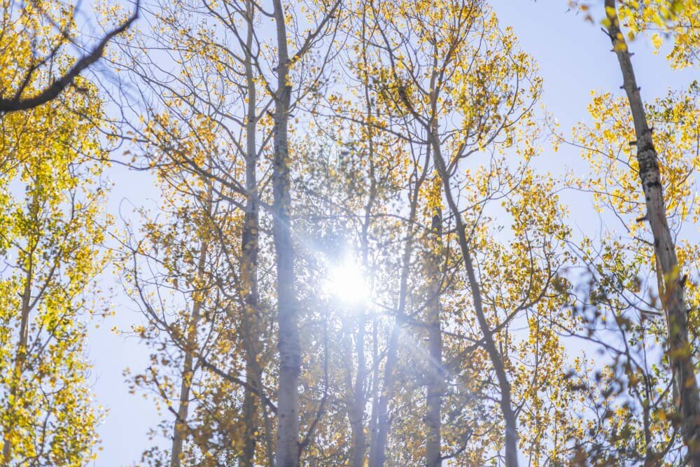 ArianaNicolePhotography-0008-11