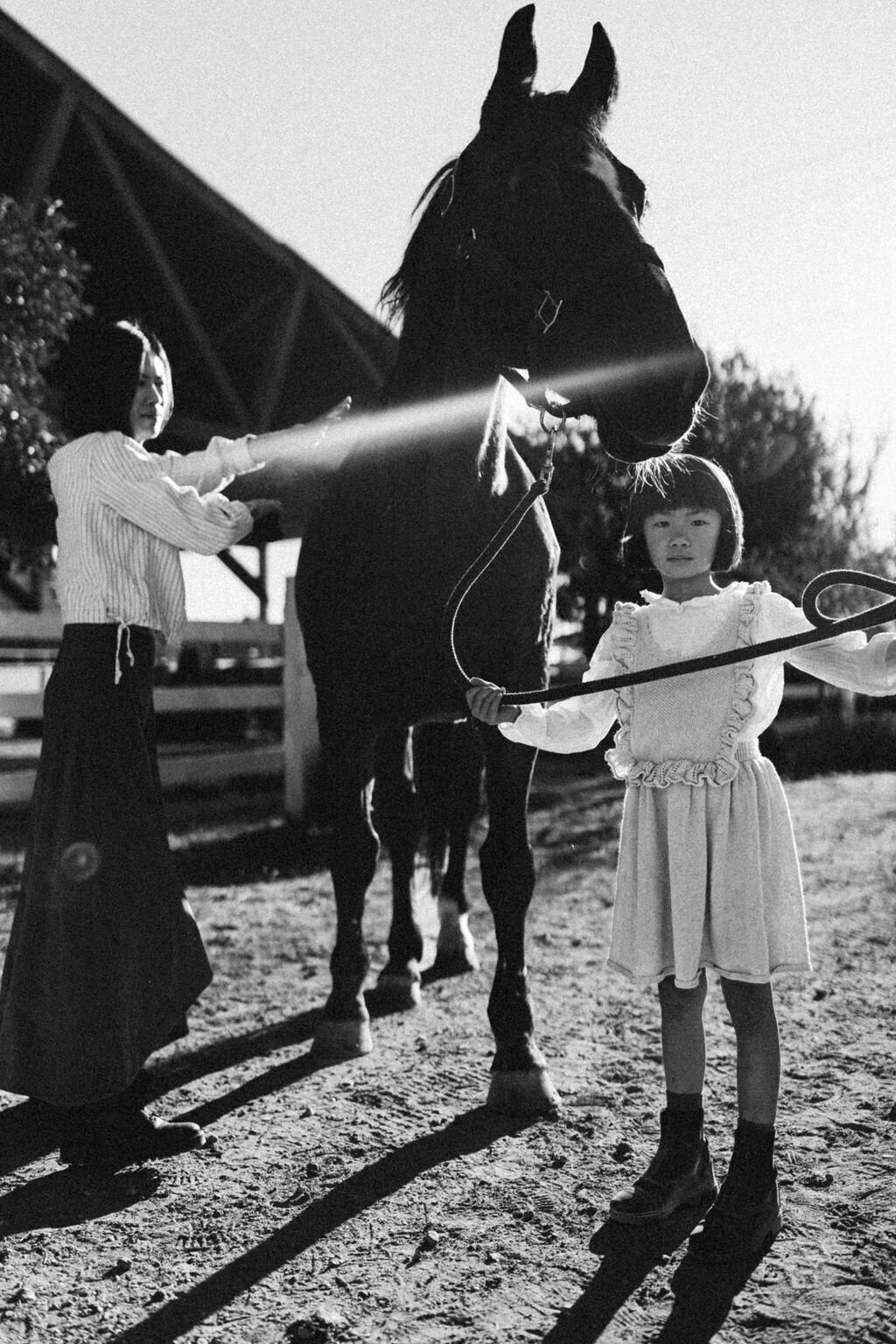 Portland-family-photographer-bayarea-horsefarm-18