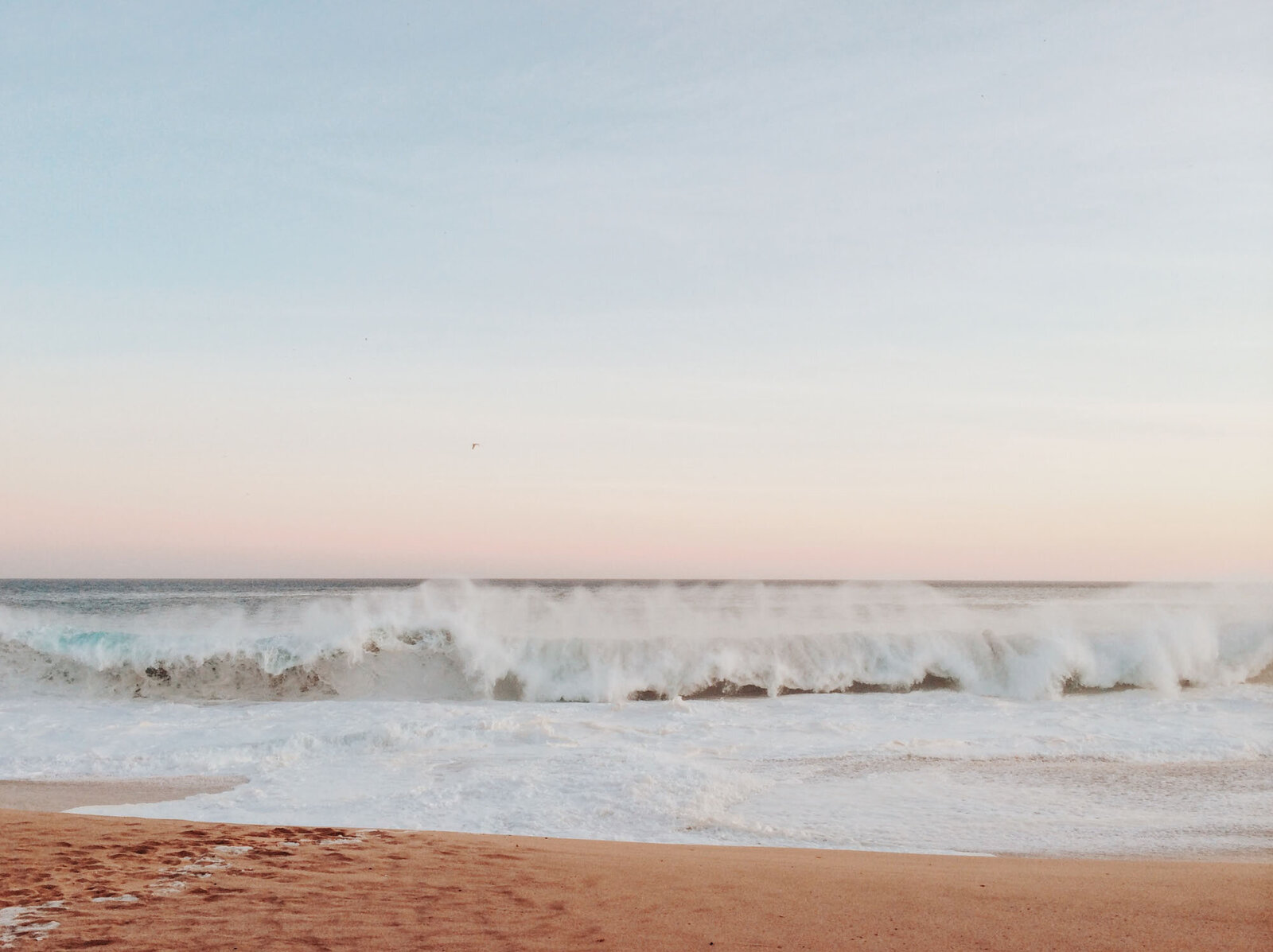 amy-humphries-DirD8fvb_iY-unsplash