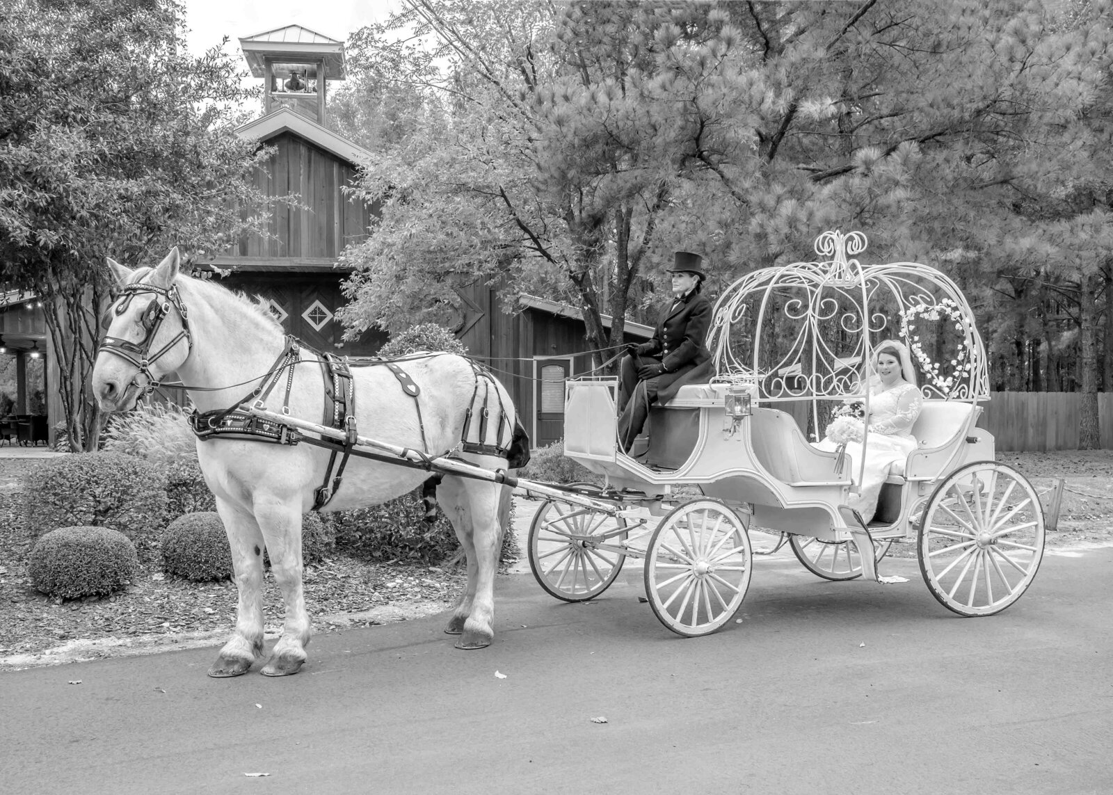 The bride sits in a horse-drawn carriage outside a rustic barn venue, captured in black and white during a Boone, NC wedding, blending fairytale charm with countryside elegance.