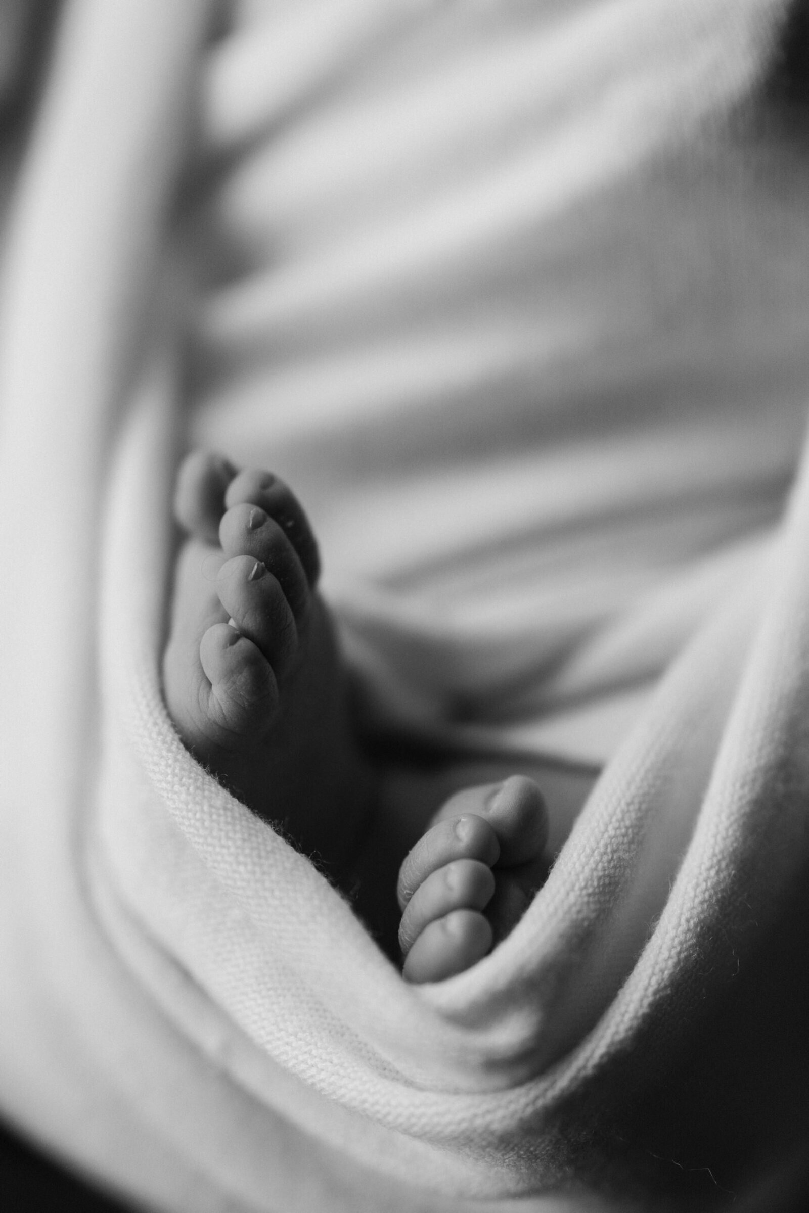 Harper newborn, Felicity Seaman, July 2024-52
