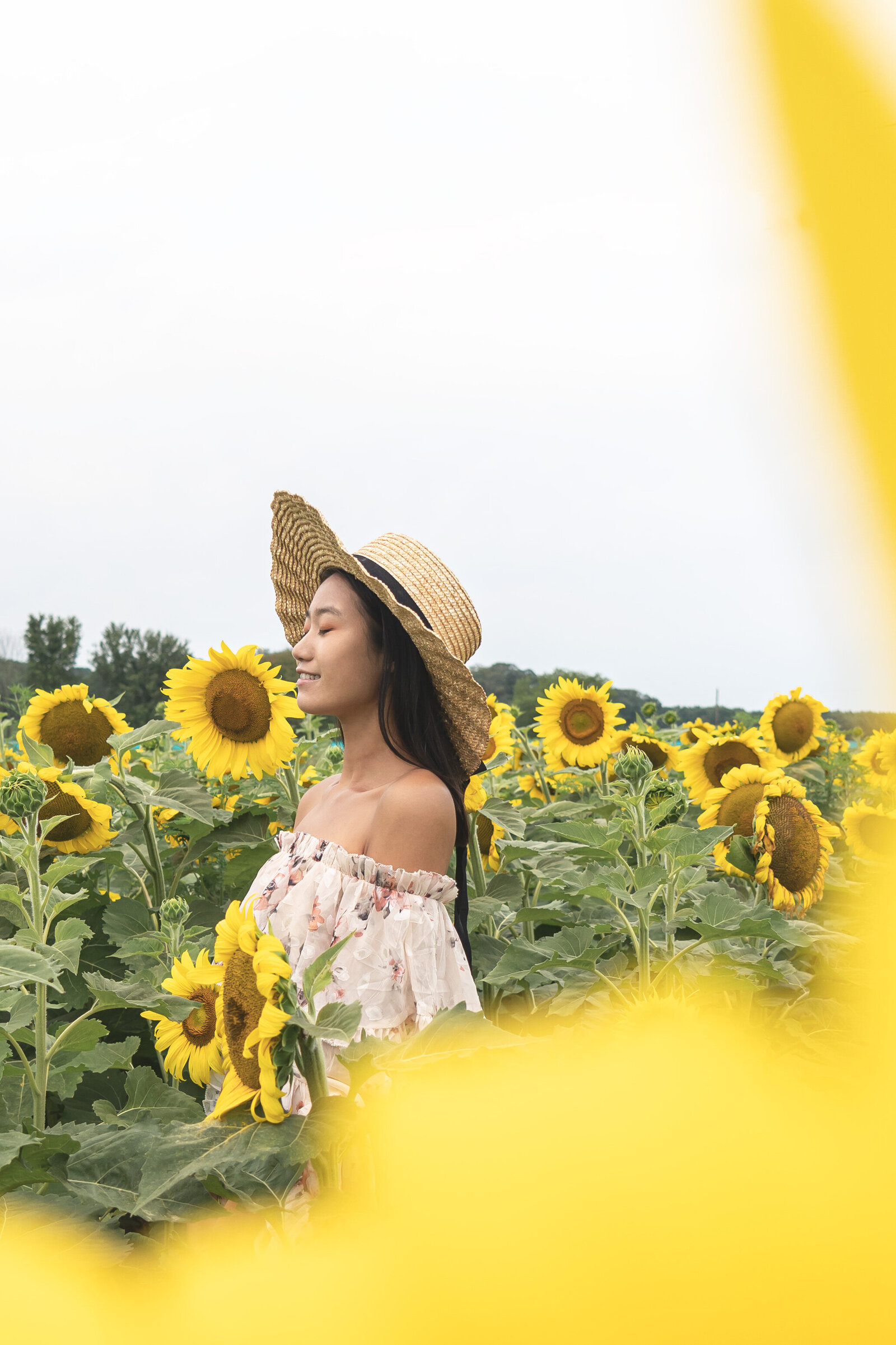 Happy-Day-Farm-Sunflower-Portrait