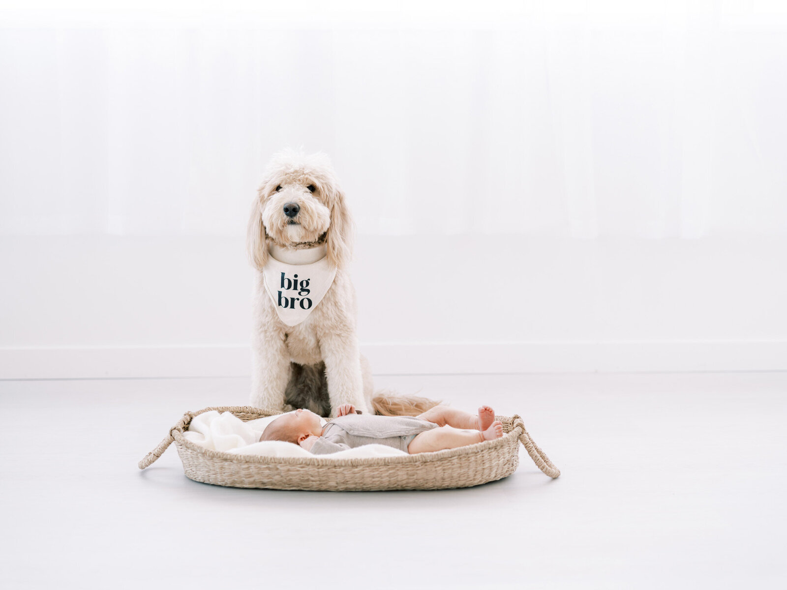 newborn-portraits_072