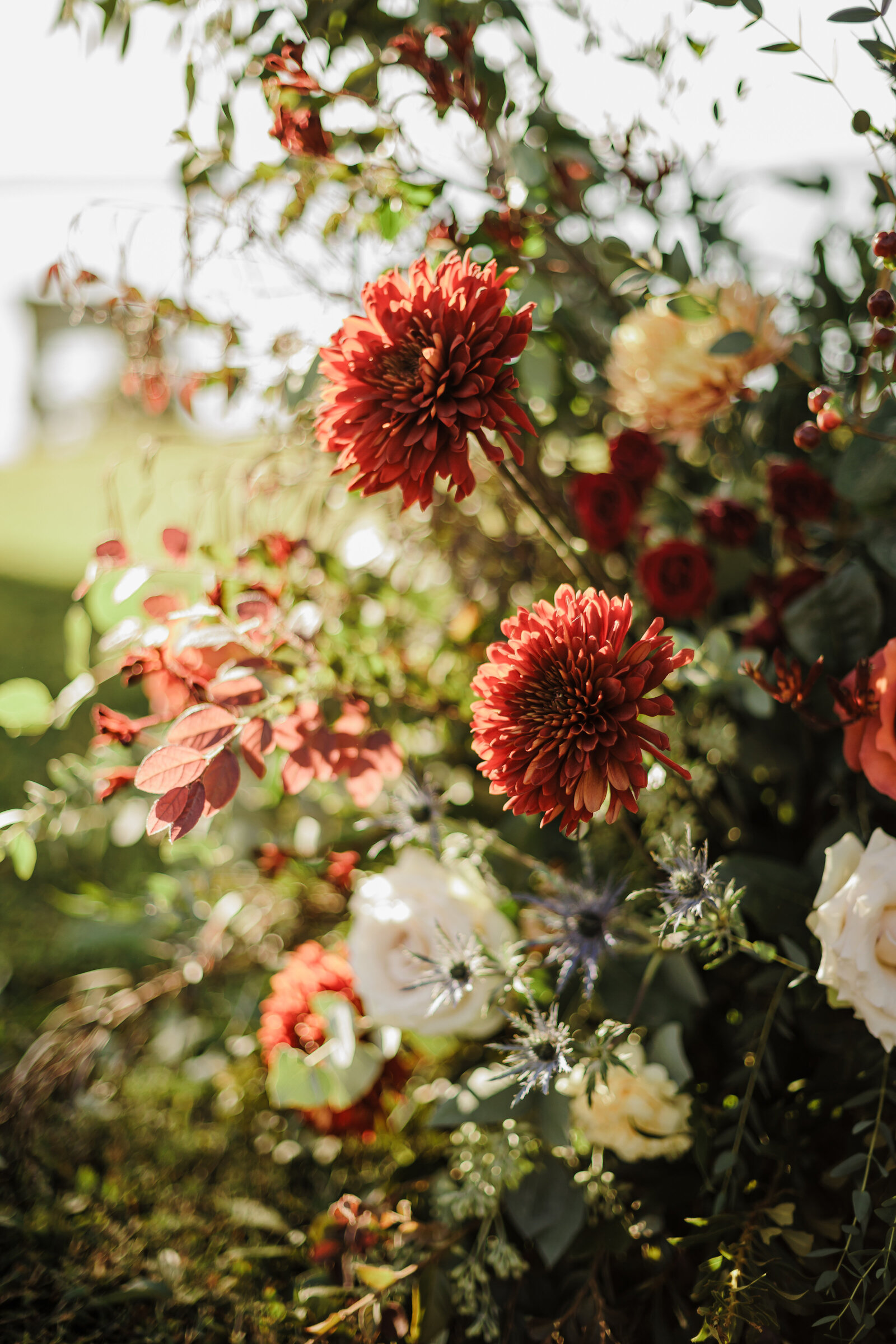 Virginia-Wedding-Photographer-202