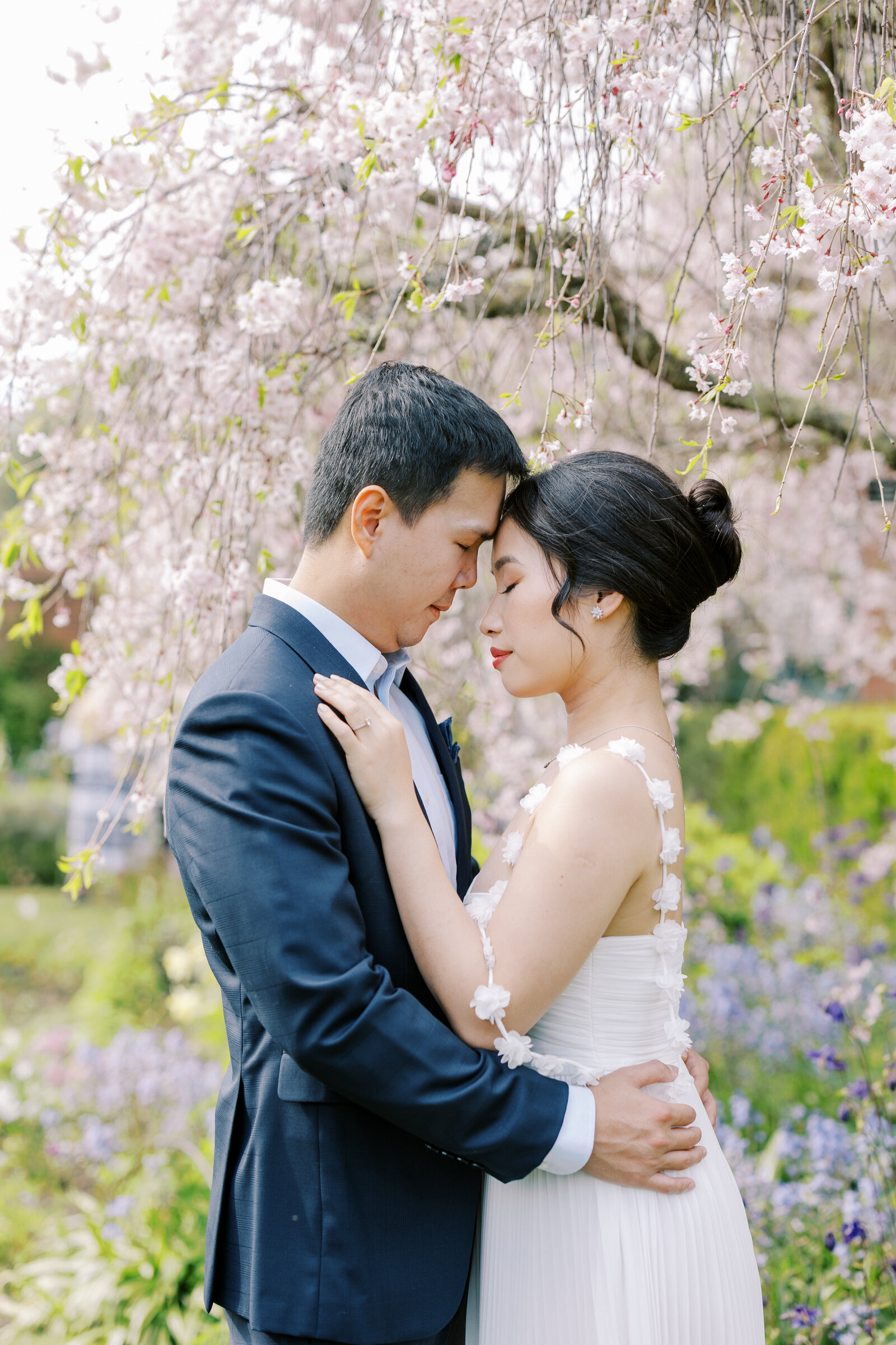 cherry-blossom-filoli-engagement