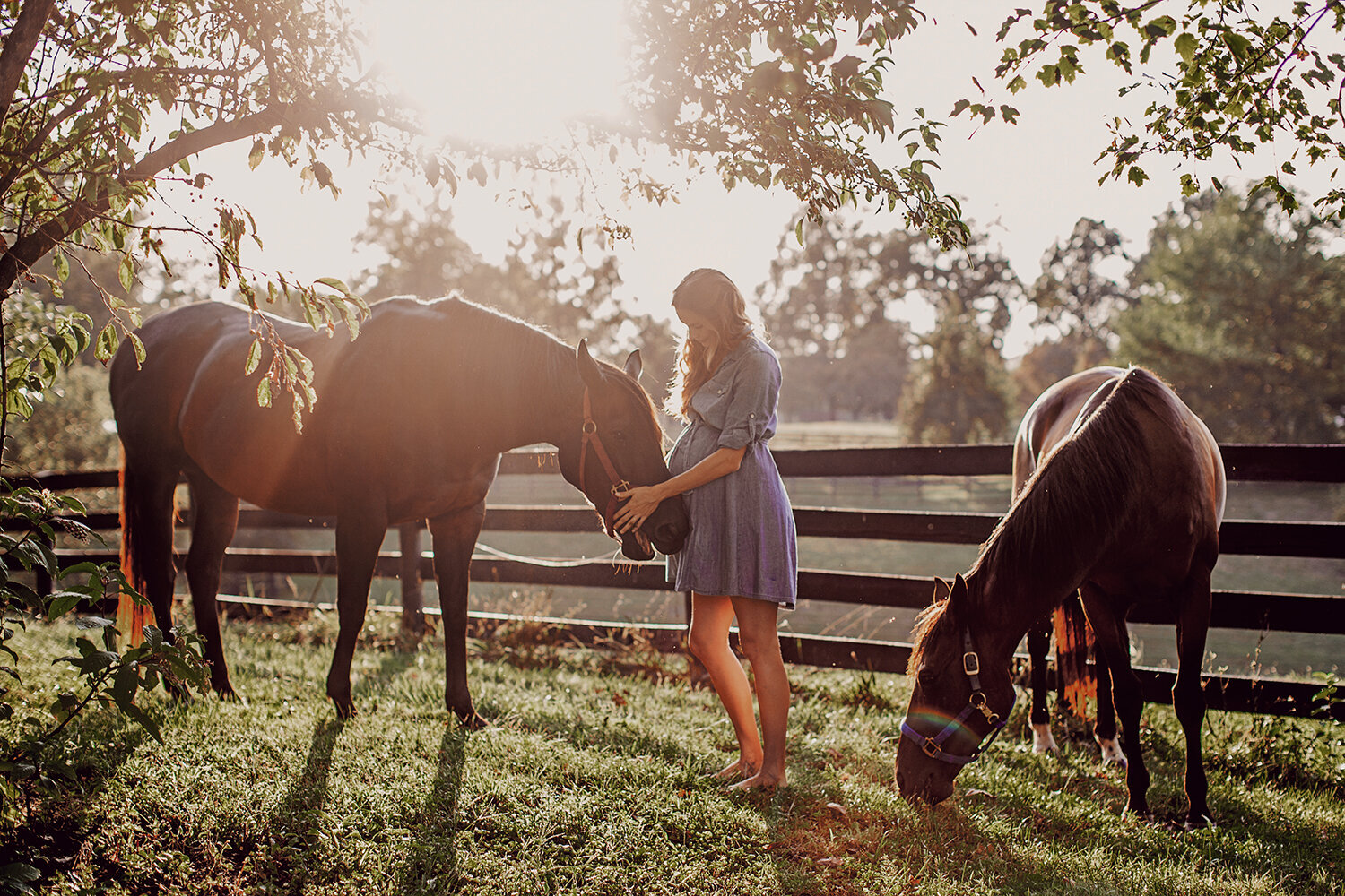 30TYP_pet_Photographer_louisville_lexington_KY