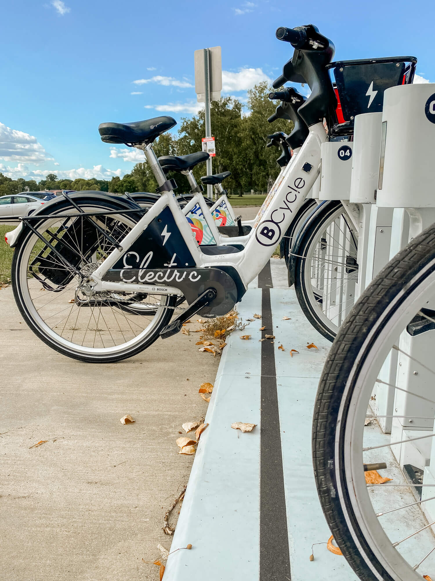 Olbrich Park-7