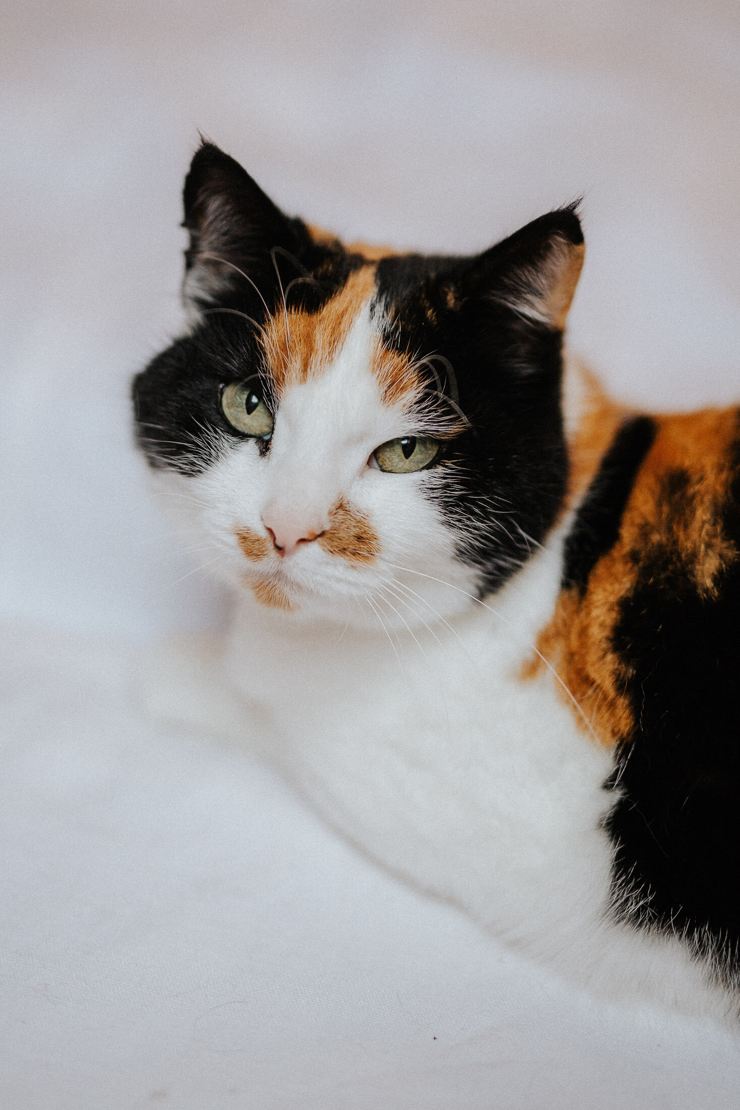 Tierische_Freunde_Tamara_Gries-4