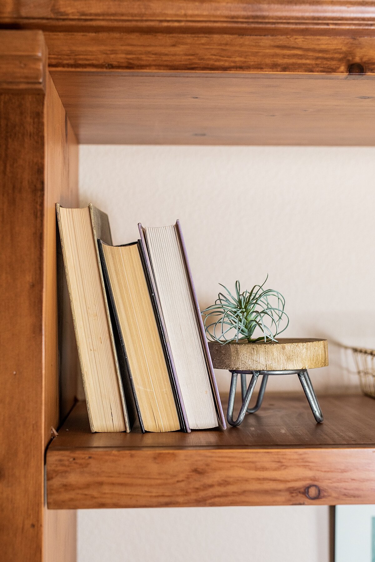 Books and plant on shelf  designed by interior Designer, Natalie Barnas in Oceanside, California.