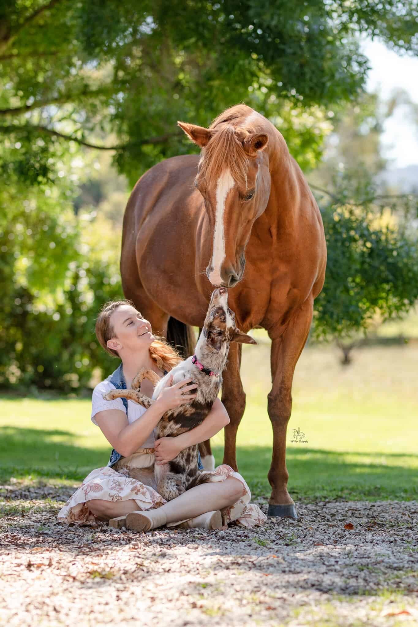 (13) Hawkesbury horse and dog photoshoot