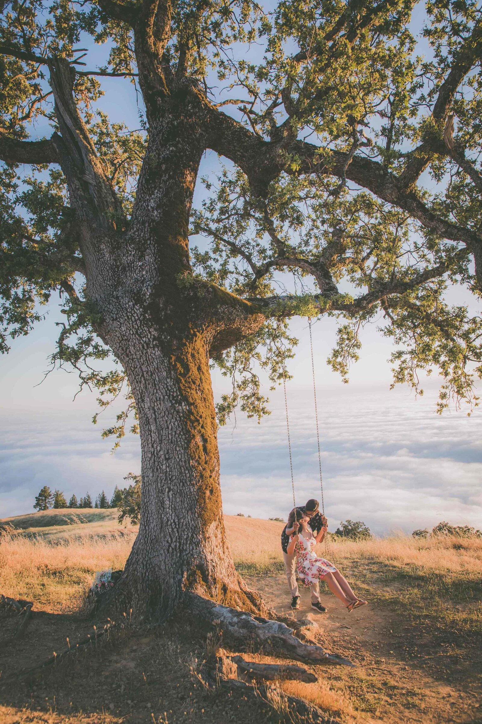Couple kisses on swing set under a tree during sunset.