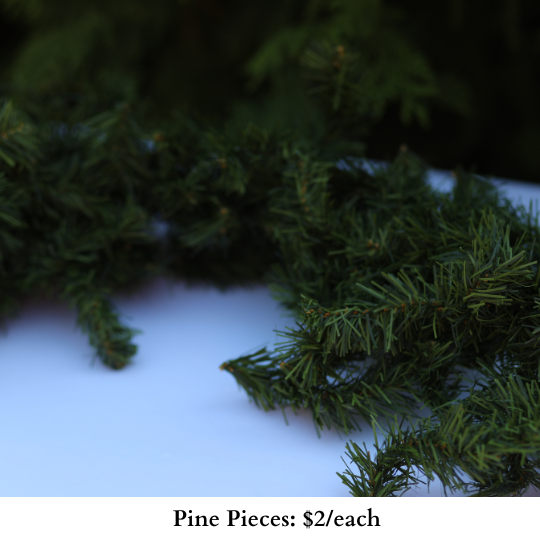 Pine Pieces-738