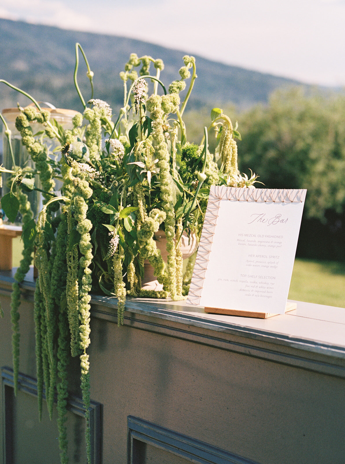 7.13-Hanna-Dan-Lake-Catamount-Steamboat-Wedding-547
