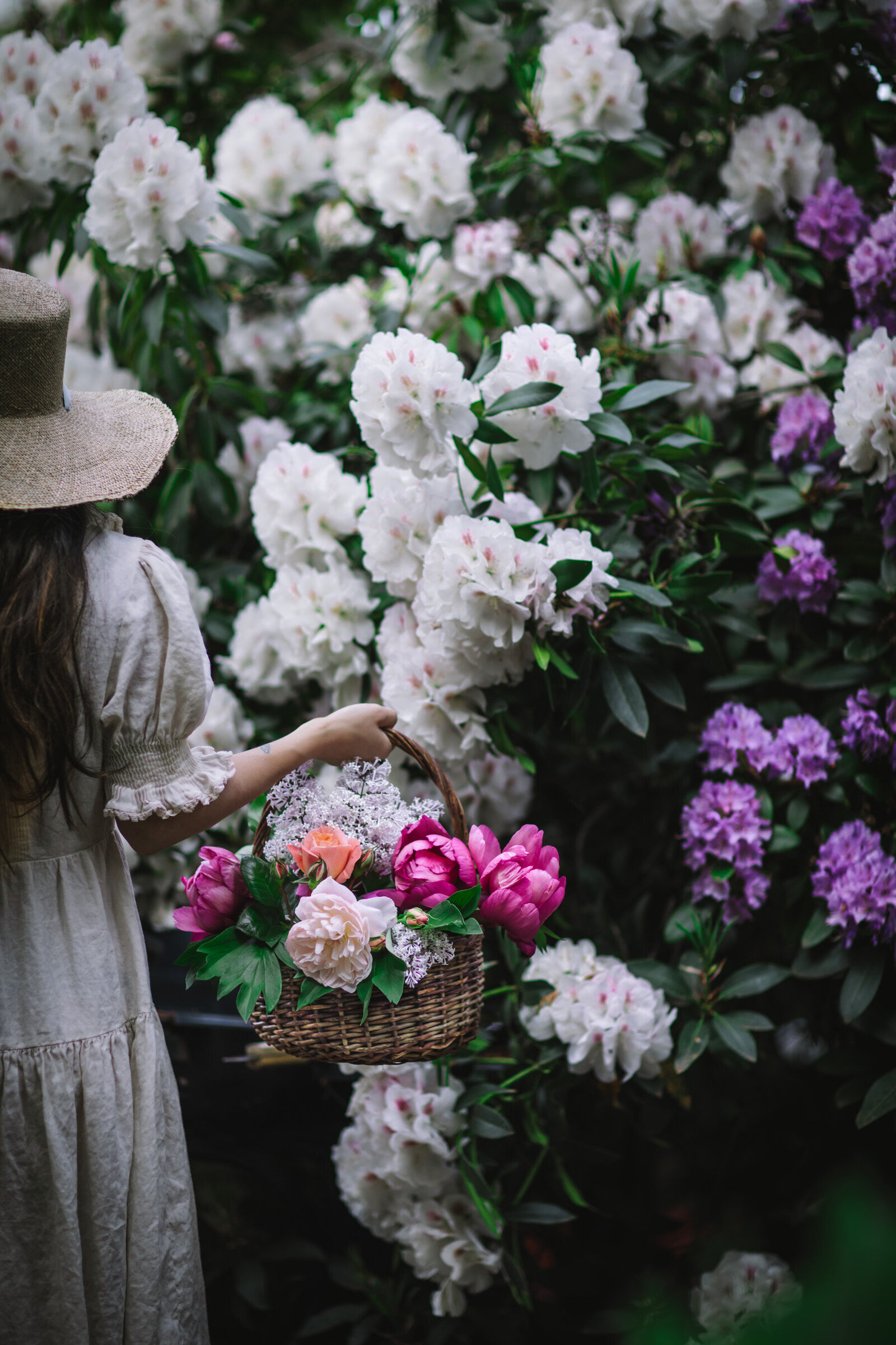 Flowers in Garden-2