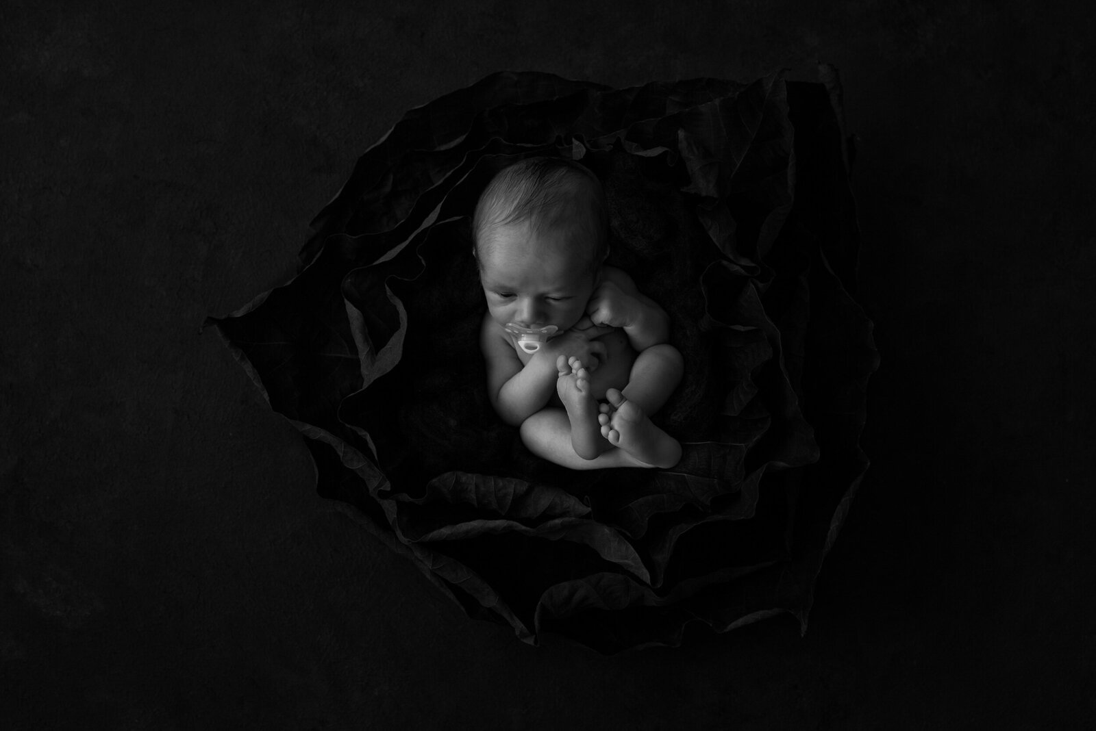 kimberleysorayaphotography_newborn28
