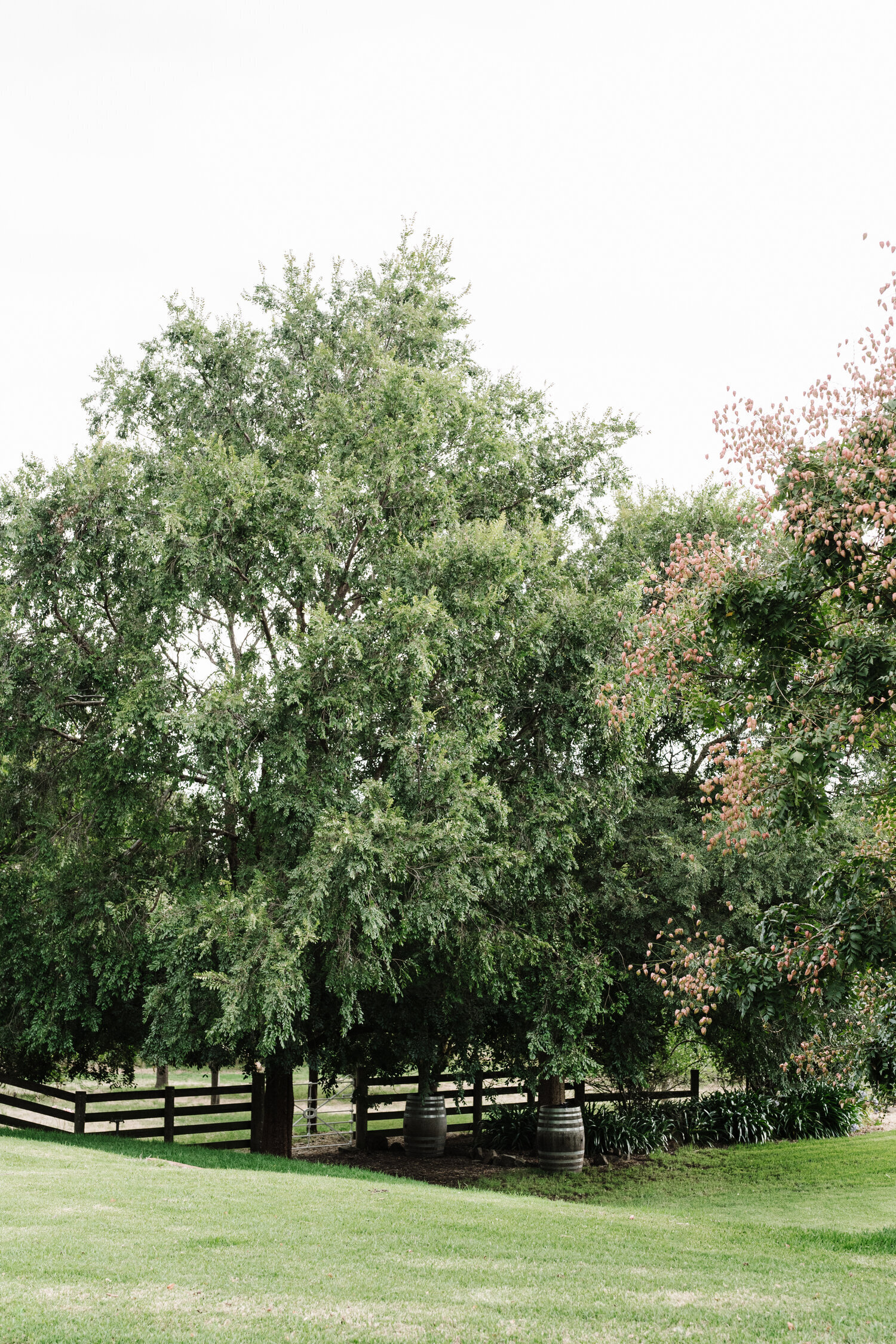 Woolbrook Homestead