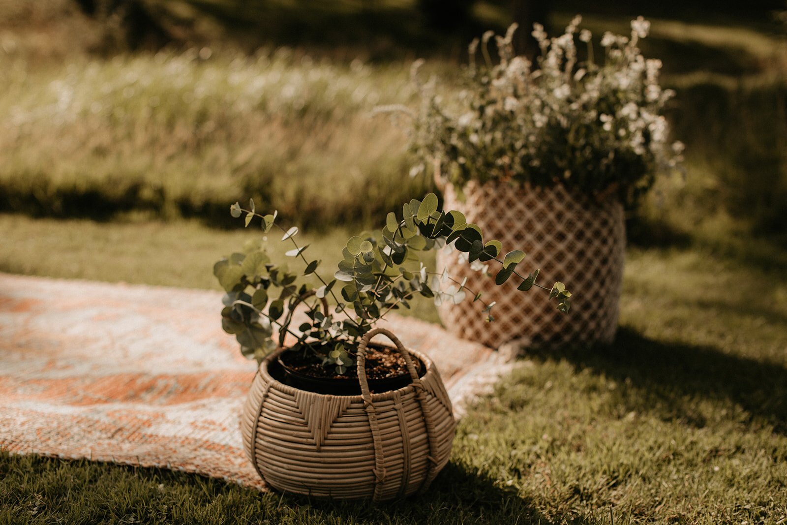 063_Jennifer_Ryan_Micro_Wedding_7.25.20-208