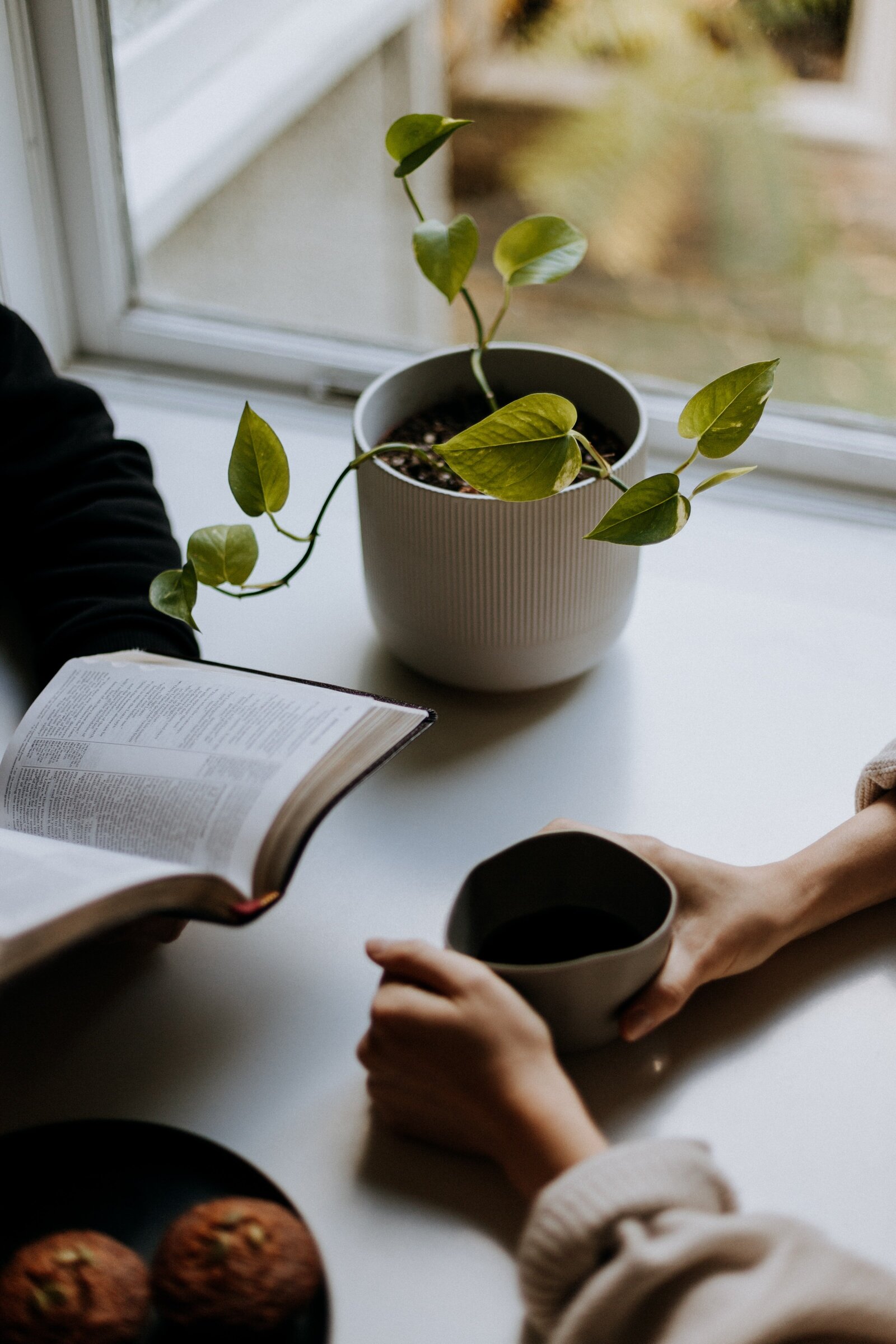 priscilla-du-preez-6gAgFo-JRPA-unsplash