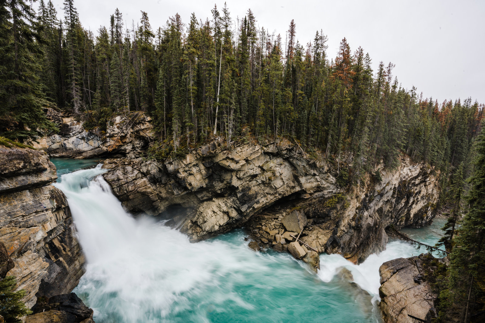 Banff_Jasper_National_Park_Sasha_Reiko_Photography-60