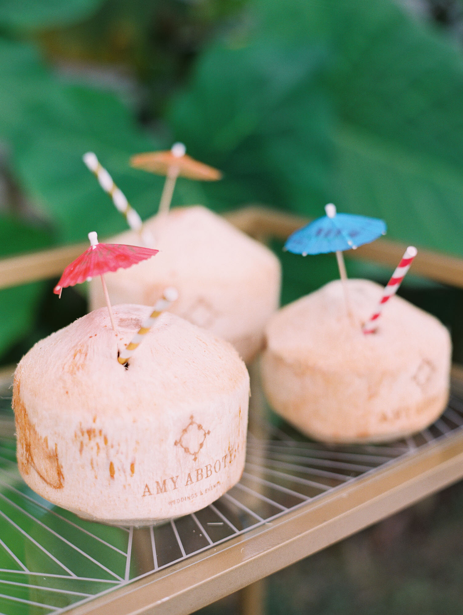 leila-brewster-photography-251_0011