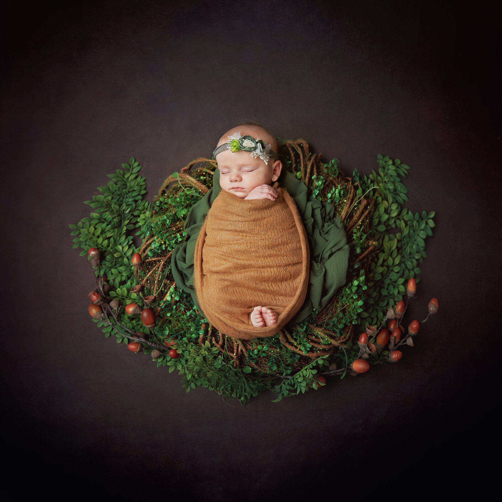 atlanta-best-award-winning-newborn-fine-art-dark-acorns-nature-nest-wreath-boy-girl-portrait-studio-photography-photographer-twin-rivers-01