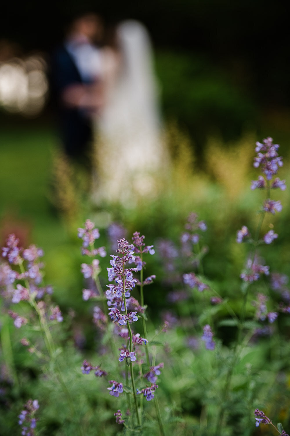 lavender flowers with bride and groom out of focus in background