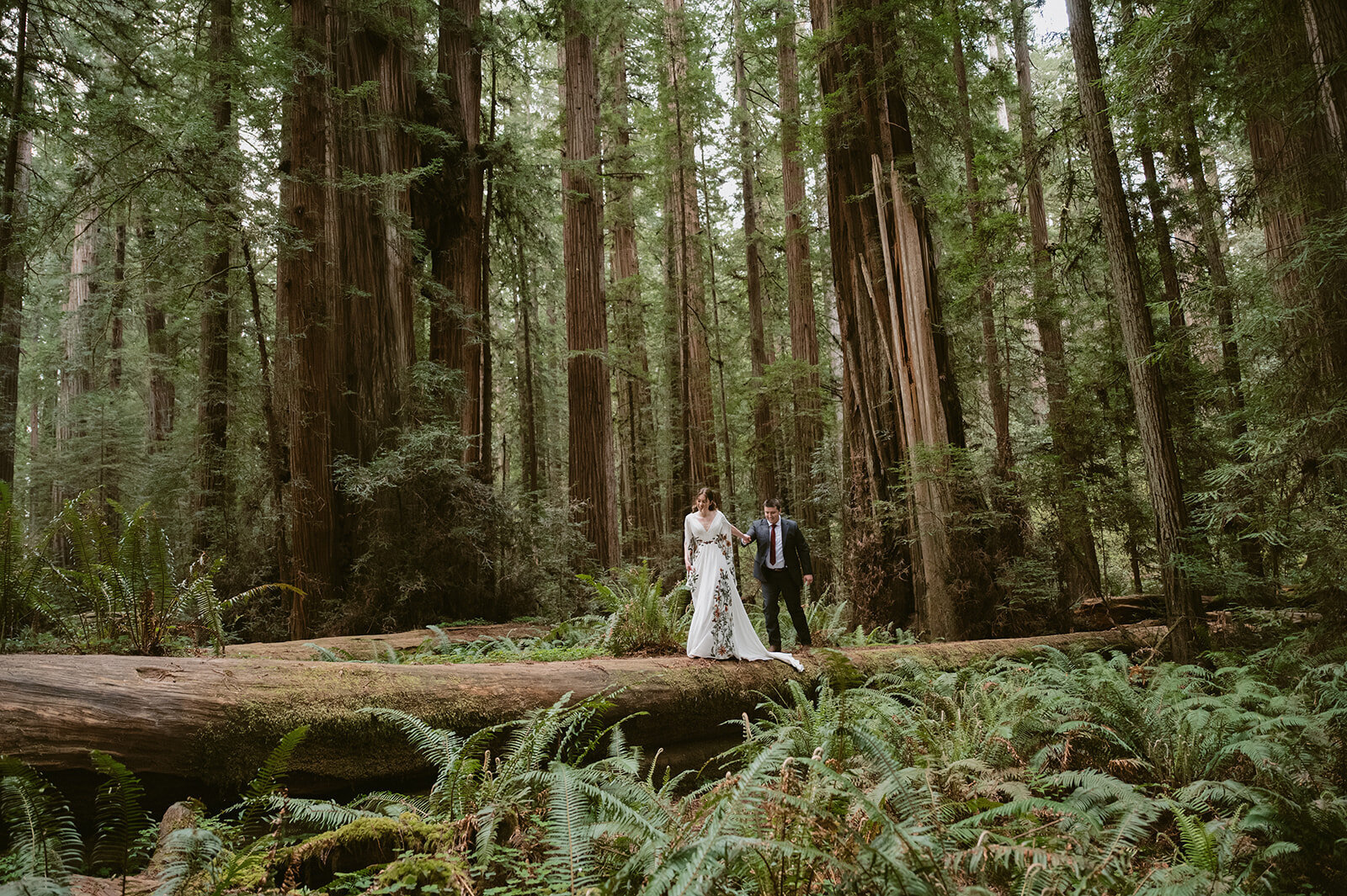 Couple walk on the dead wood