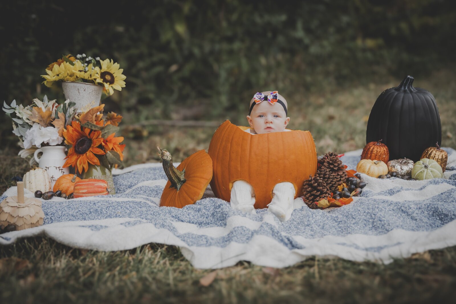 best portrait photographer in kansas city of a baby in a pumpkin