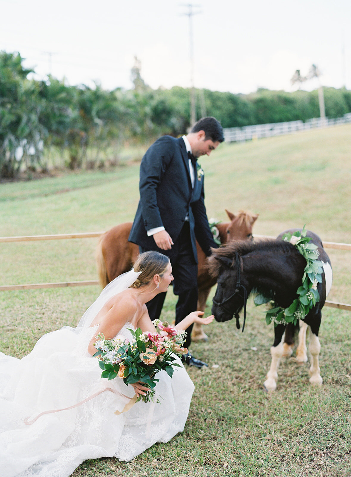 Alice Ahn Hawaii Wedding Photography - HA-78