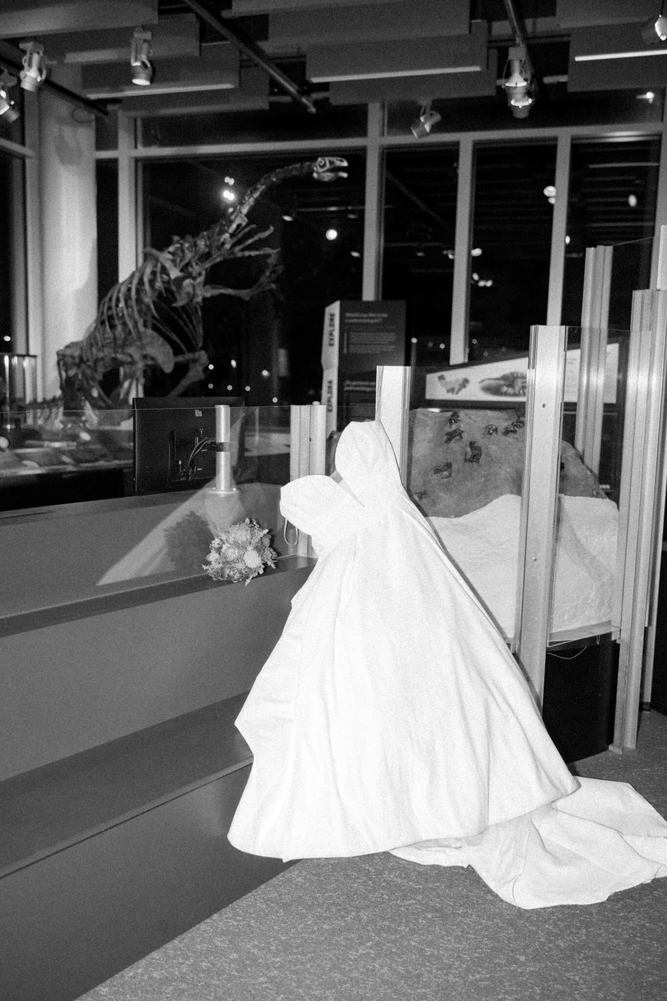 Bride in a ballgown facing a dinosaur exhibit at a museum