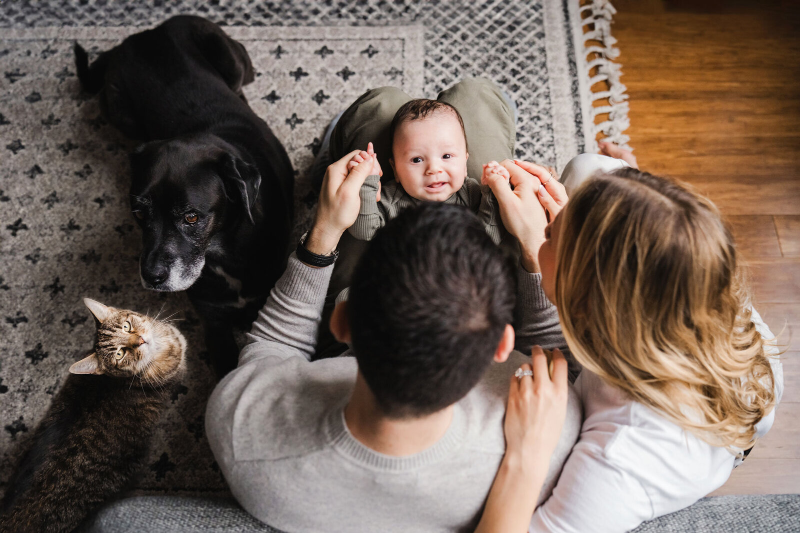 In Home Newborn DUMBO with pets