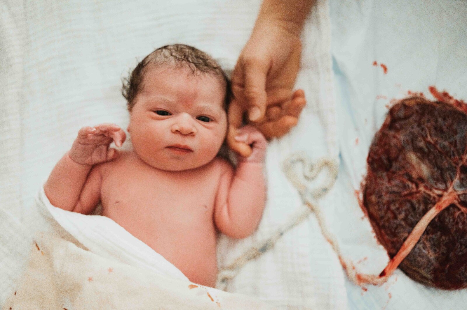 A black and white newborn photo